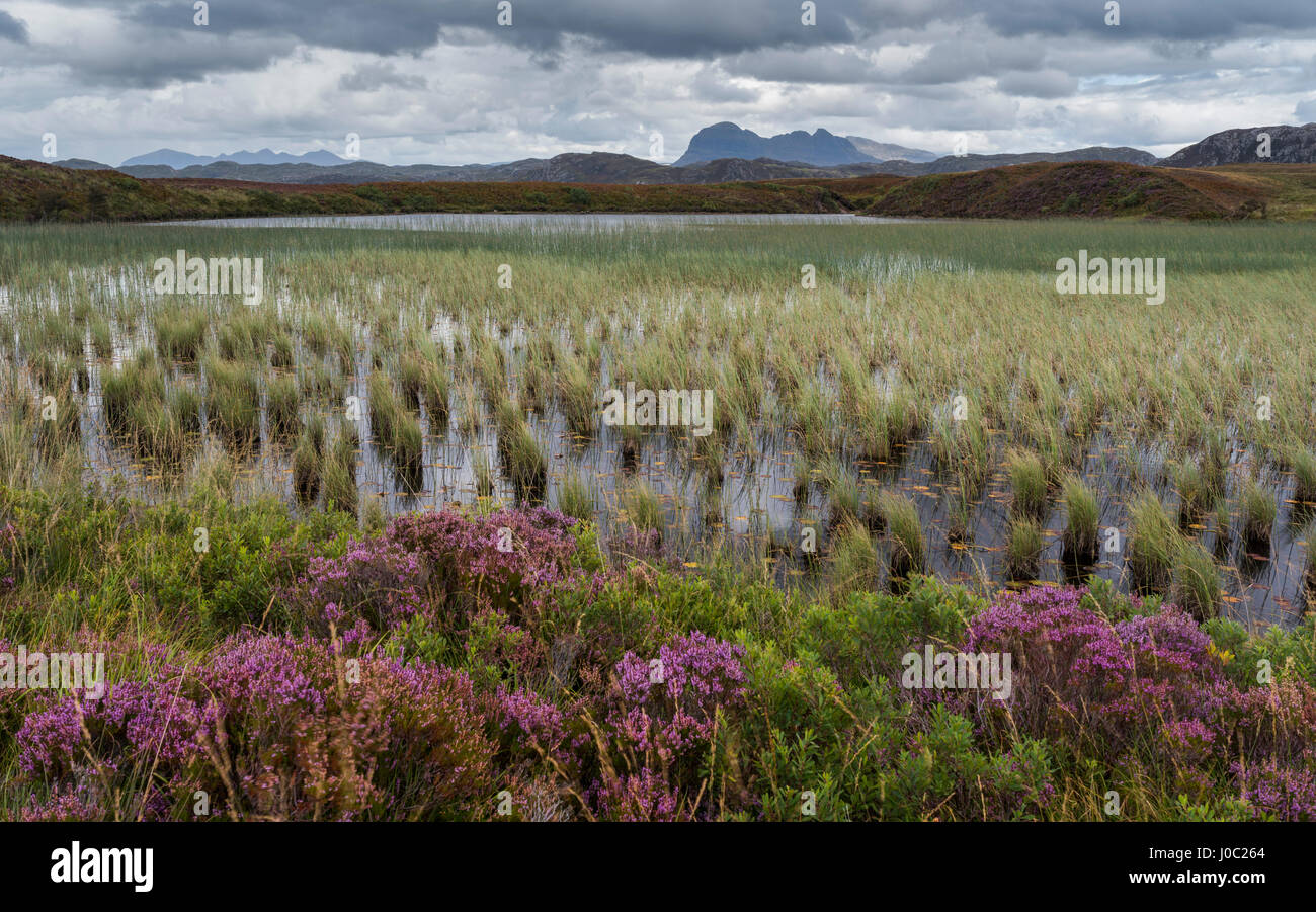 Suilven looms in the distance in this view across Loch Garvie near Achnahaird, Ross and Cromarty, Highlands, Scotland, UK Stock Photo