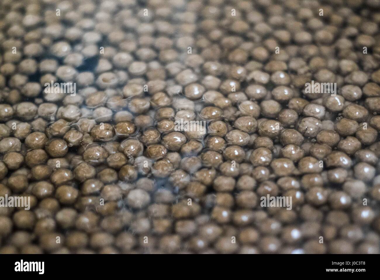 A series of twelve close up macro photos detailing making Bubble Tea or Boba Tea. Taiwan is the birthplace of the phenomenon that is Bubble Tea. Stock Photo