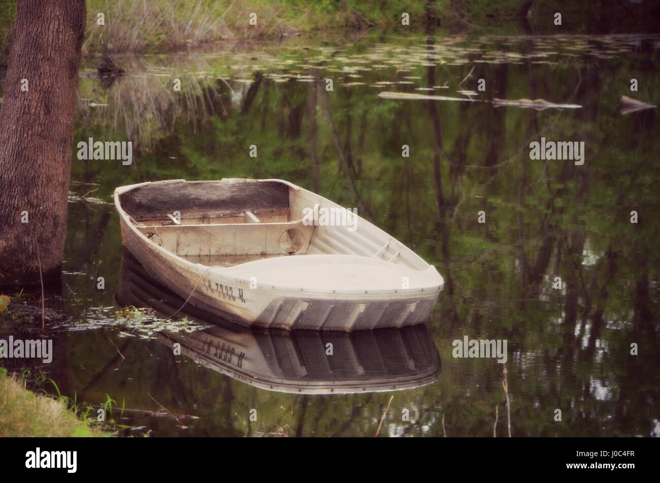 Old boat in a lily pond Stock Photo