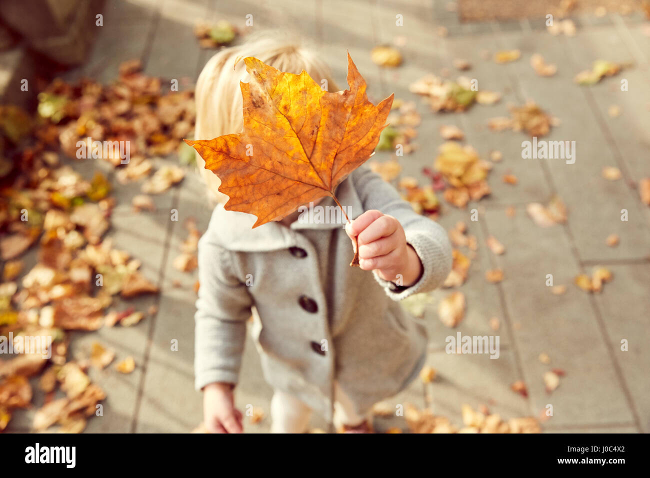 Girl holding autumn leaf in front of face Stock Photo - Alamy
