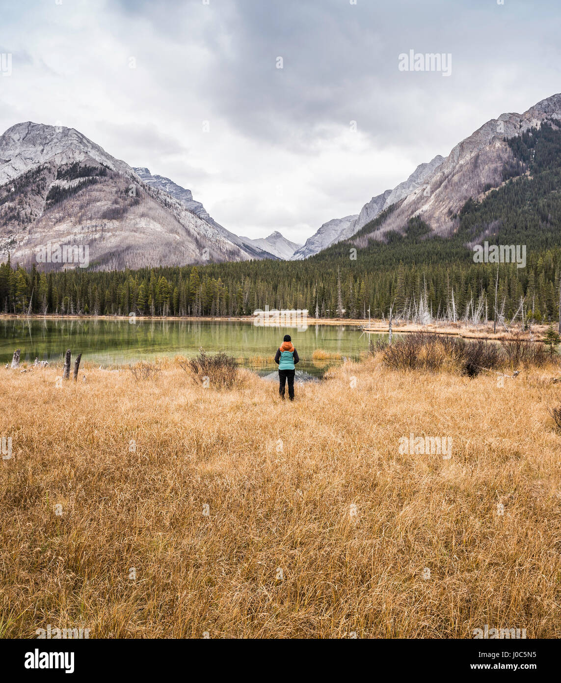 Woman standing, looking at view, rear view, Kananaskis Country; Bow Valley Provincial Park, Kananaskis, Alberta, Canada Stock Photo