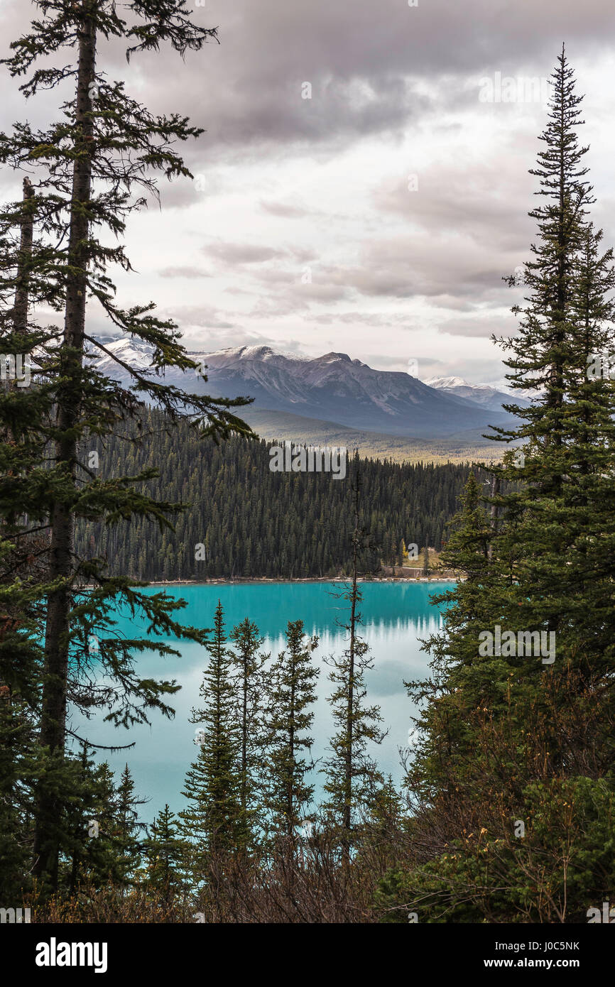 Lake Louise, Alberta, Canada Stock Photo - Alamy