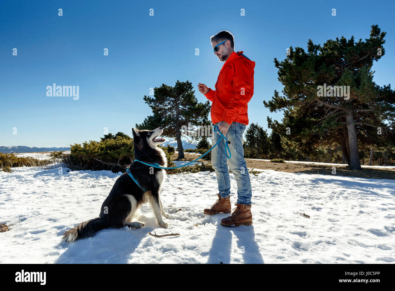 Mature man training dog in snow covered landscape Stock Photo