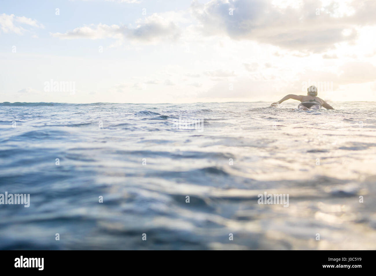 Rear view of woman paddling on surfboard in sea, Nosara, Guanacaste Province, Costa Rica Stock Photo