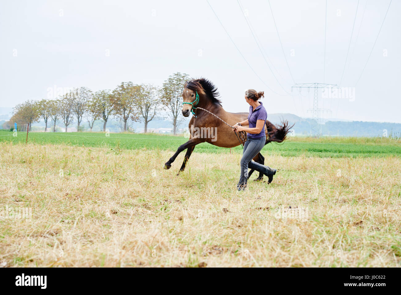 Woman running and leading horse while training in field Stock Photo