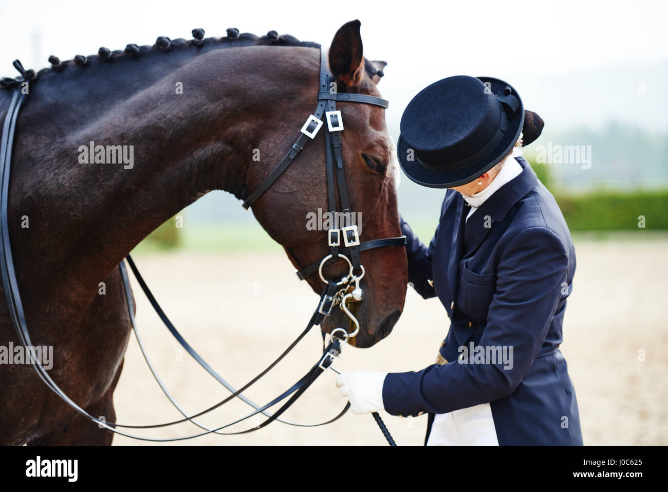 Female rider petting dressage horse in equestrian arena Stock Photo