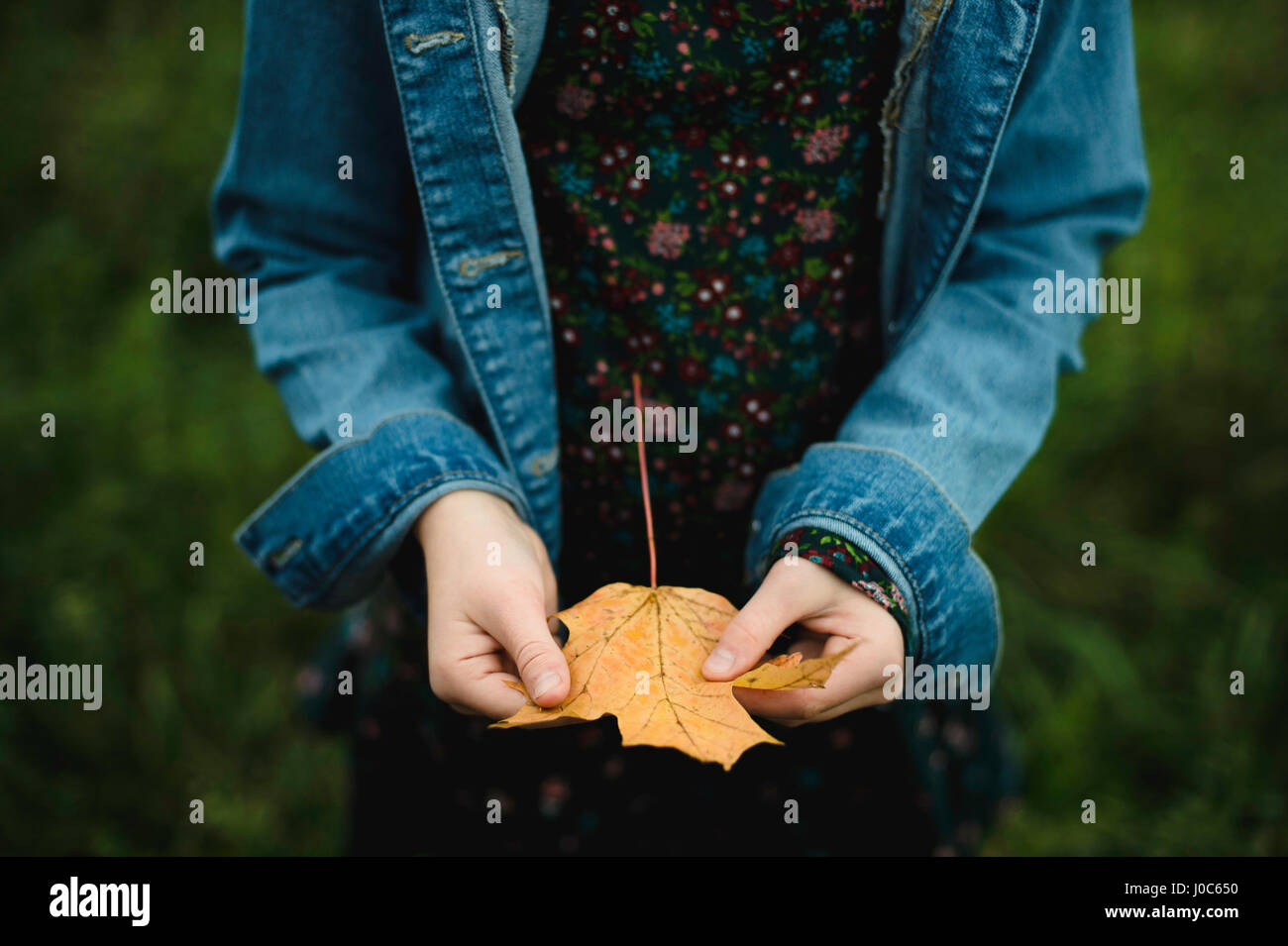 Young girl holding yellow maple leaf Stock Photo - Alamy