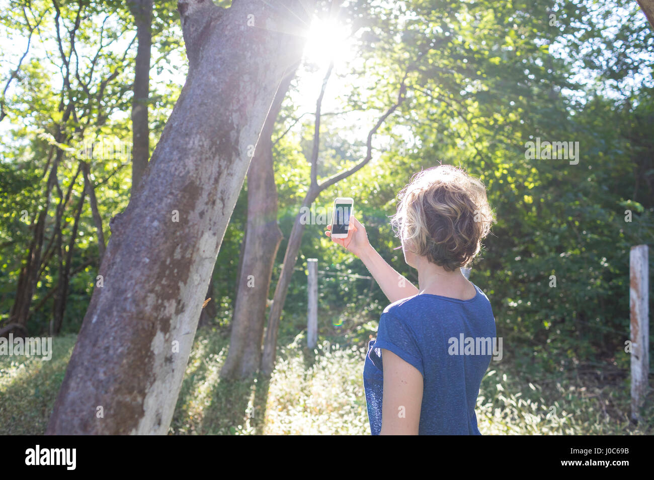 Mature woman photographing rainforest with smartphone, Nosara, Guanacaste Province, Costa Rica Stock Photo