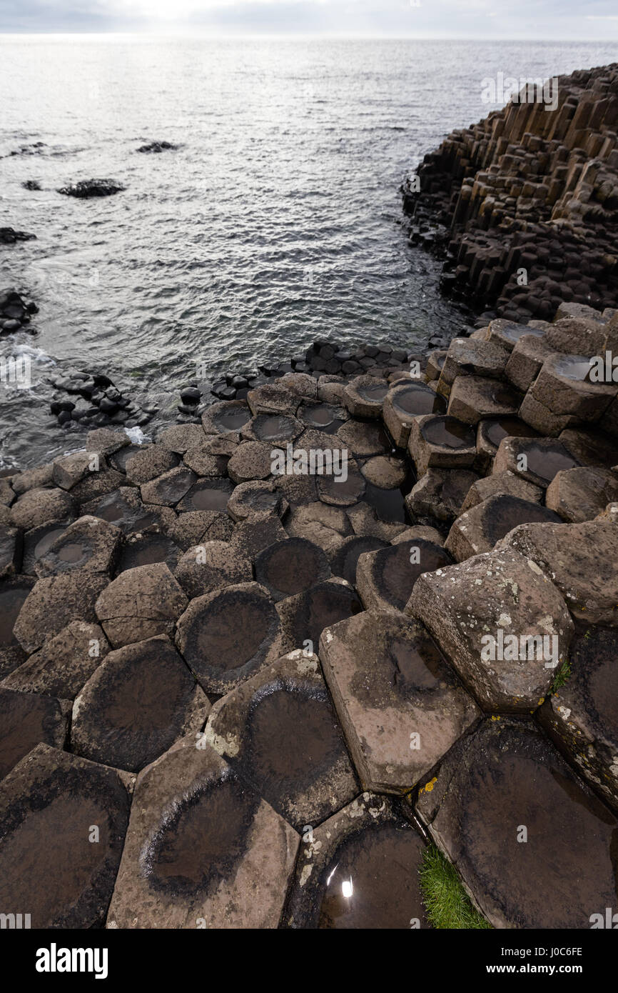 The Giant's Causeway is an area of about 40,000 interlocking basalt columns, the result of an ancient volcanic eruption. Stock Photo