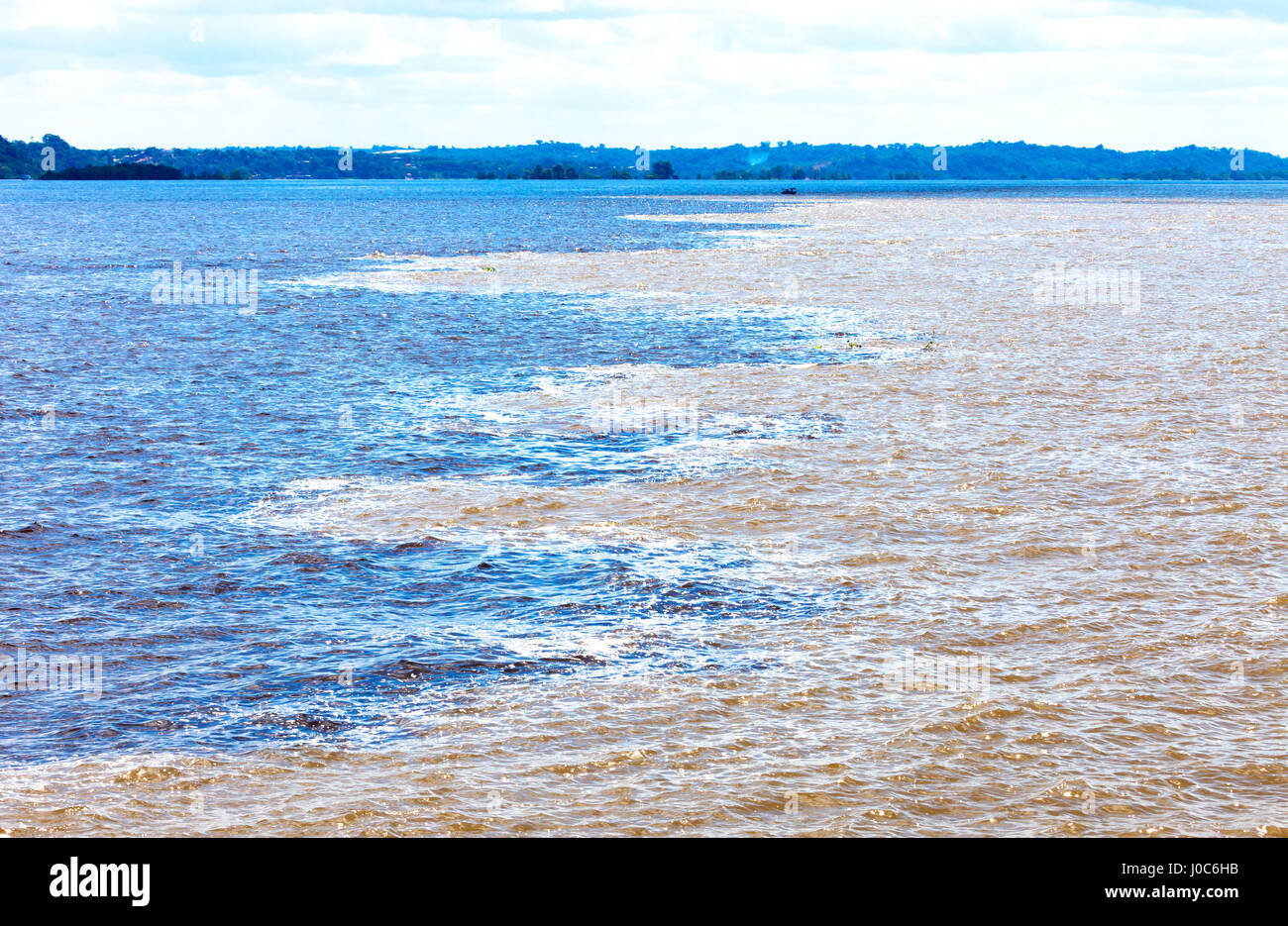 Black and white encounter, Amazon River, Brazil Stock Photo Alamy