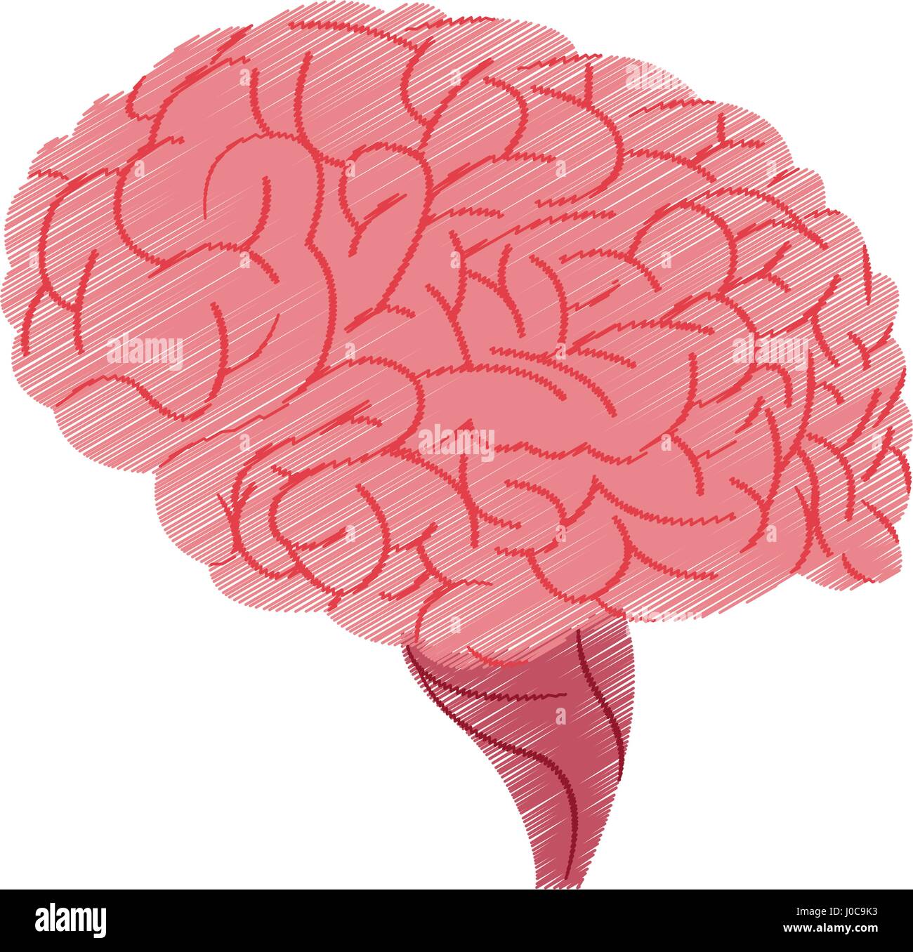 human brain icon image Stock Vector Image & Art - Alamy