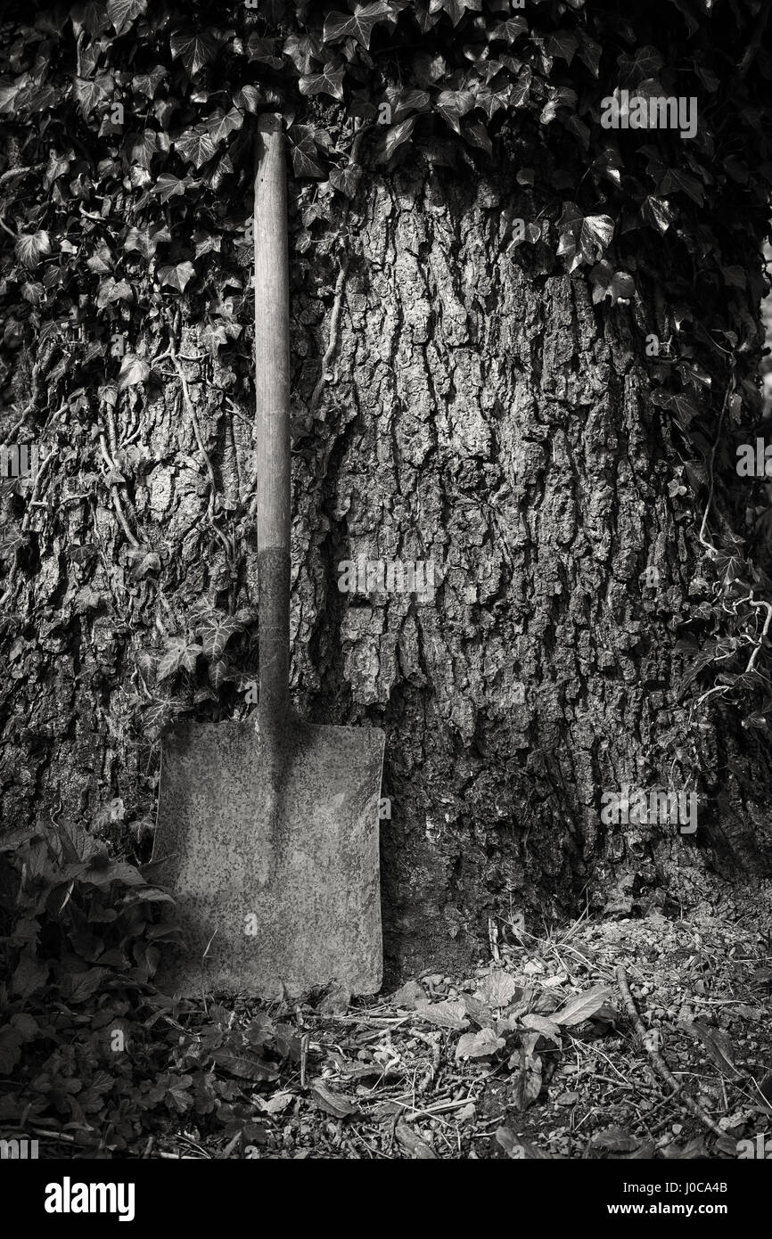 Spade against tree hires stock photography and images Alamy