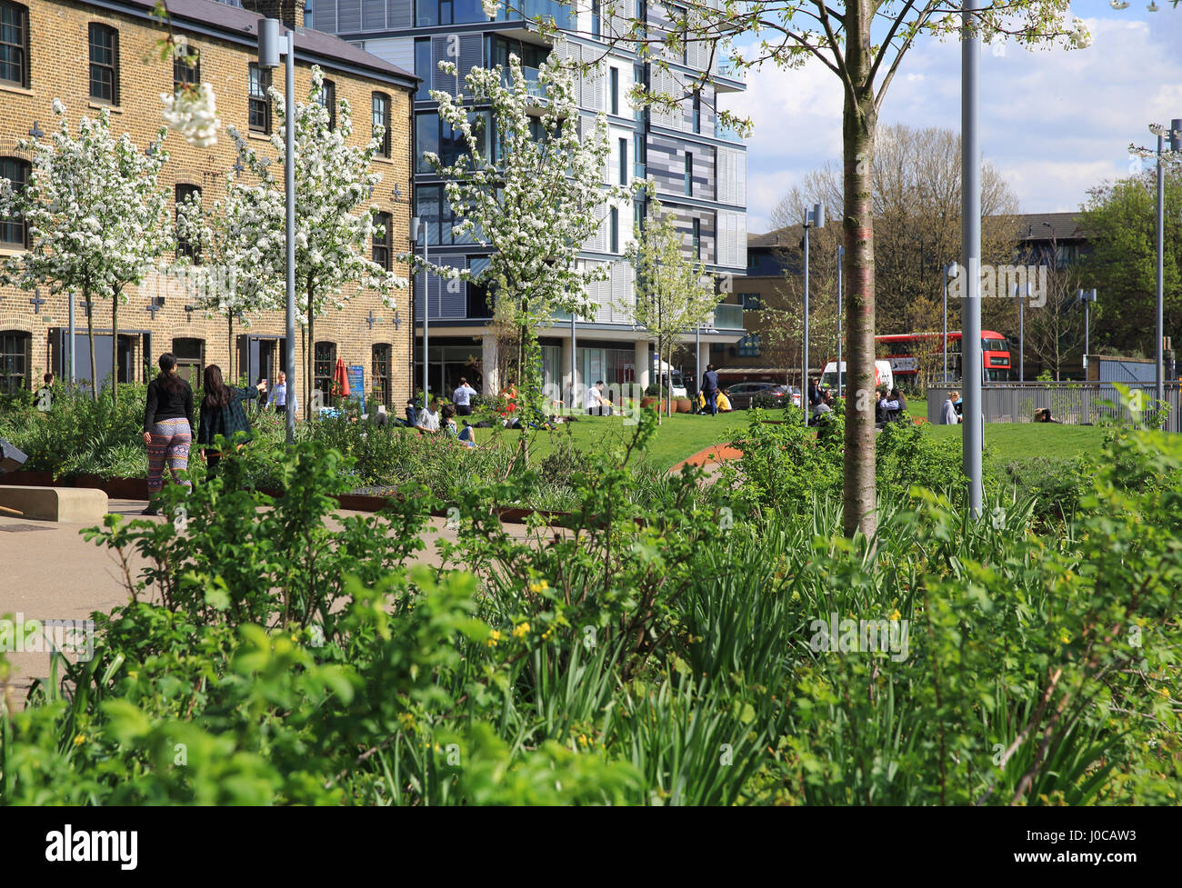 Spring on Wharf Road Gardens near Granary Square, at Kings Cross, NC1