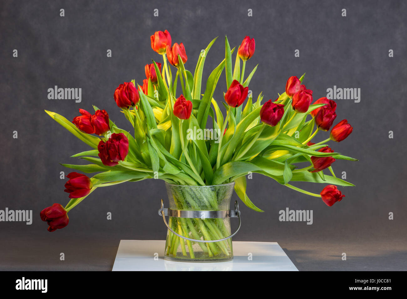 Vase with red flowering tulips Glass vase with steel rim Stock Photo