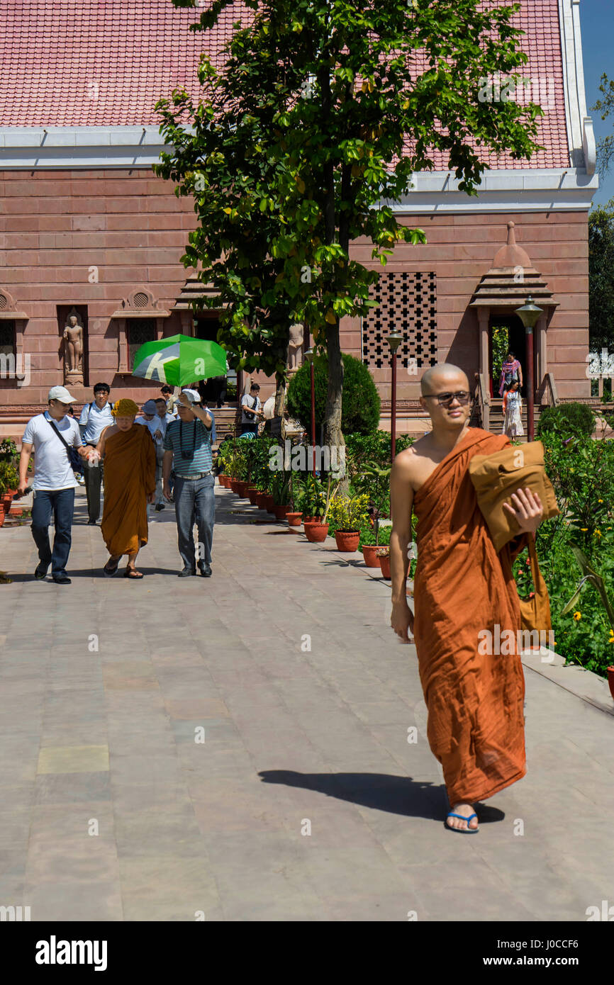 Buddhist monk, sarnath, uttar pradesh, india, asia Stock Photo