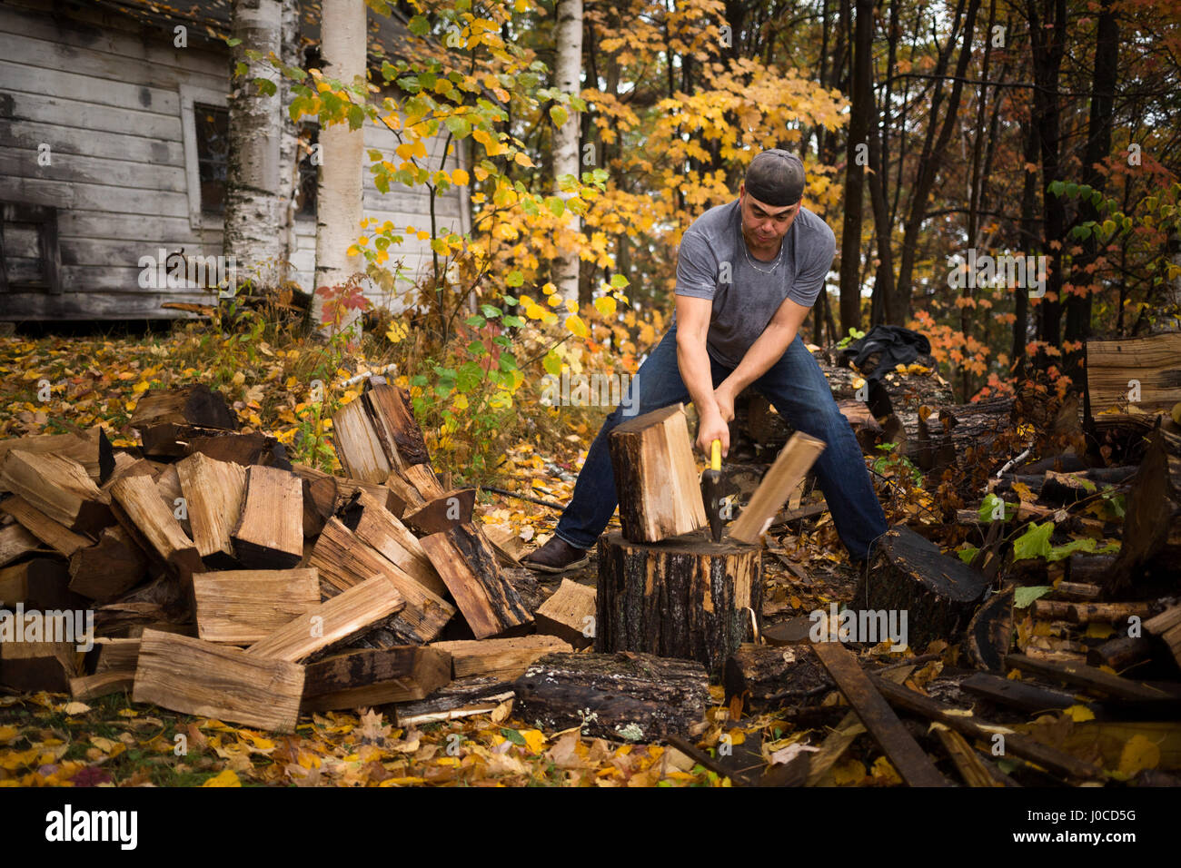 Mid adult man splitting logs in autumn forest, Upstate New York, USA Stock Photo