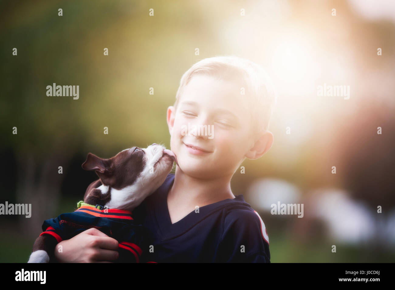 Boston Terrier puppy licking boy's face Stock Photo