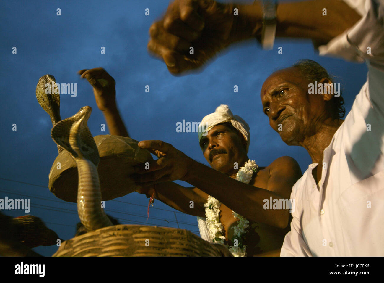 Snake charmer, bishnupur, west bengal, india, asia Stock Photo