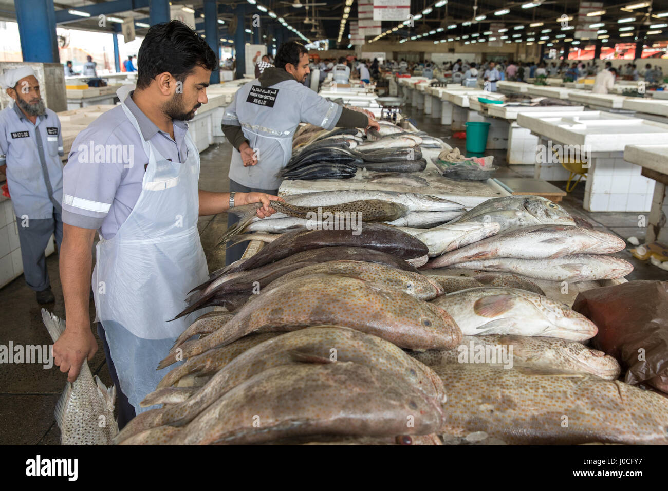 Fresh fish dubai hires stock photography and images Alamy