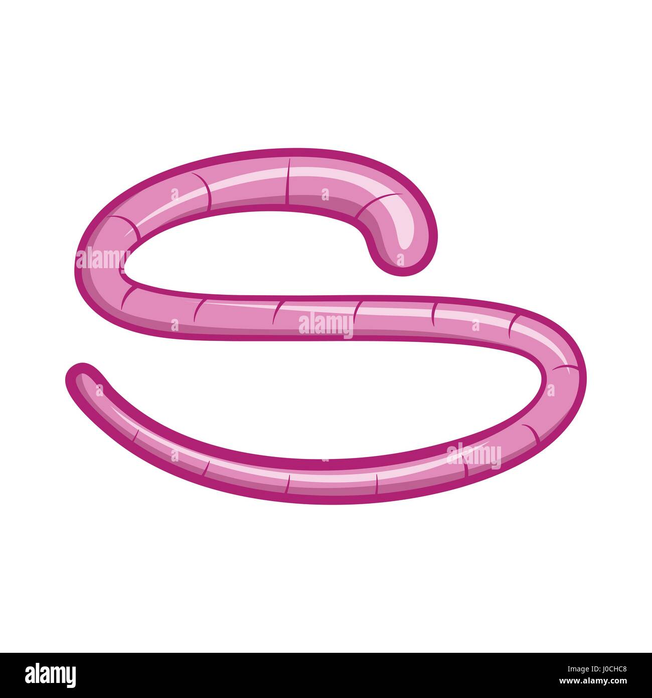 Roundworm icon in cartoon style Stock Vector