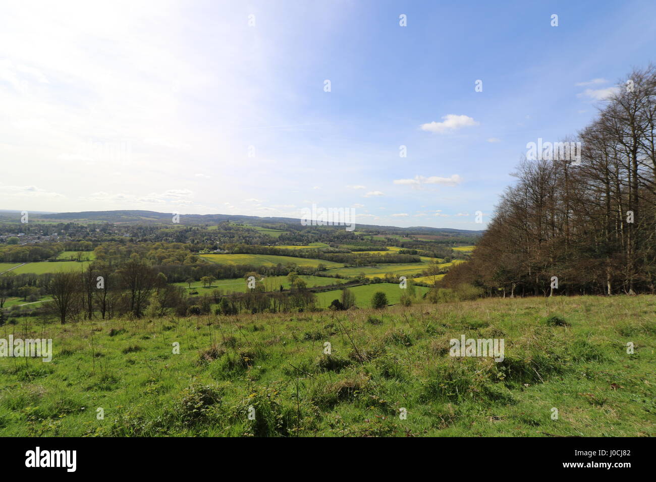 A view over the north downs from Ranmore Common in the Surrey Hills Stock Photo