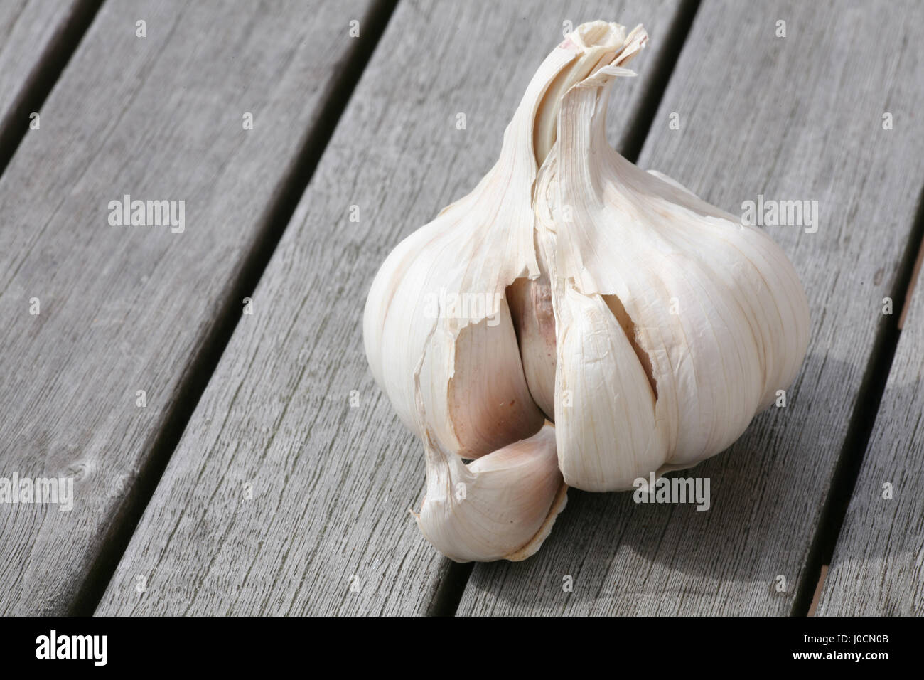 garlic clove Stock Photo Alamy