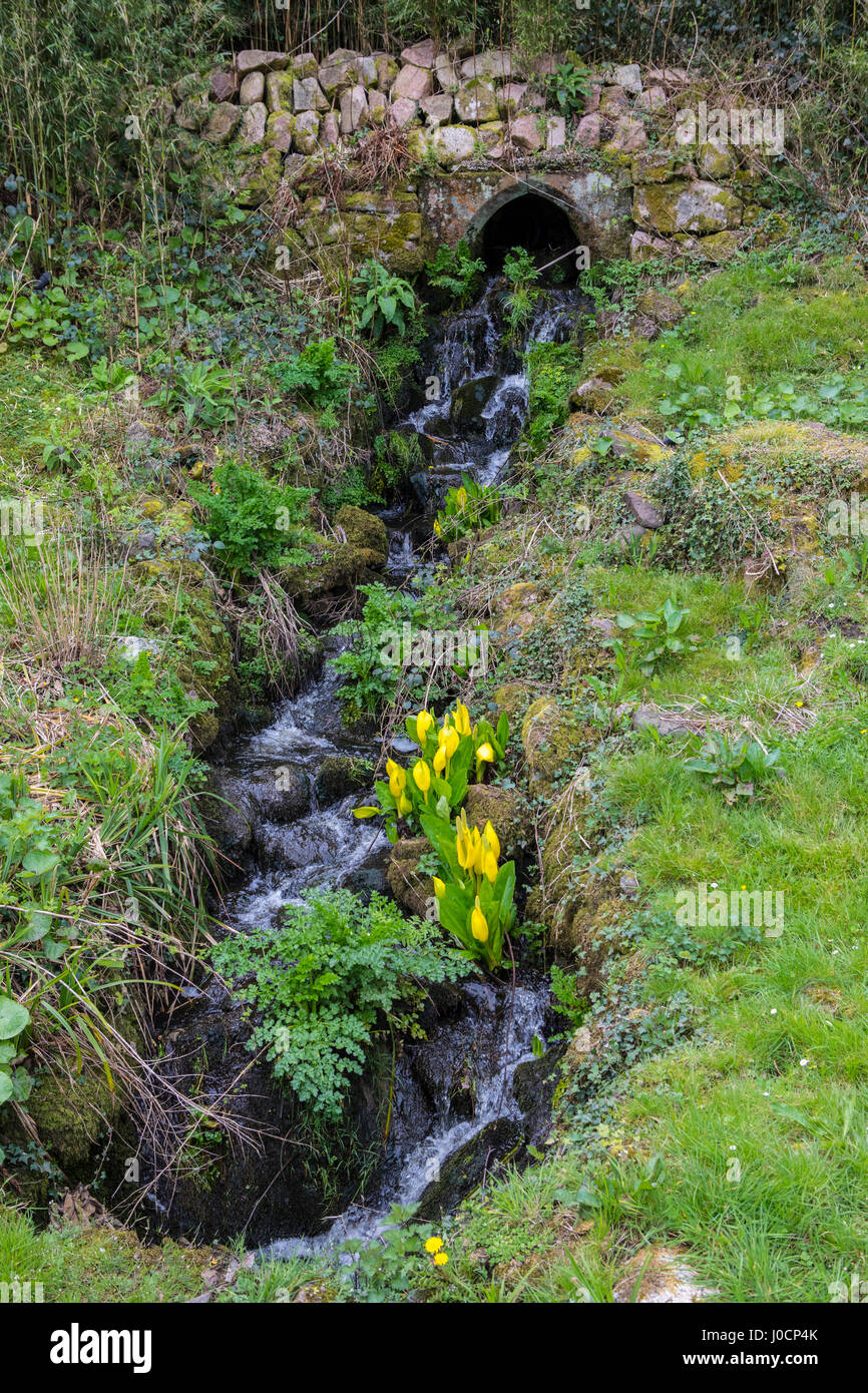 A small waterfall in the gardens of Muncaster Castle in the Lake District in Cumbria, UK. Stock Photo