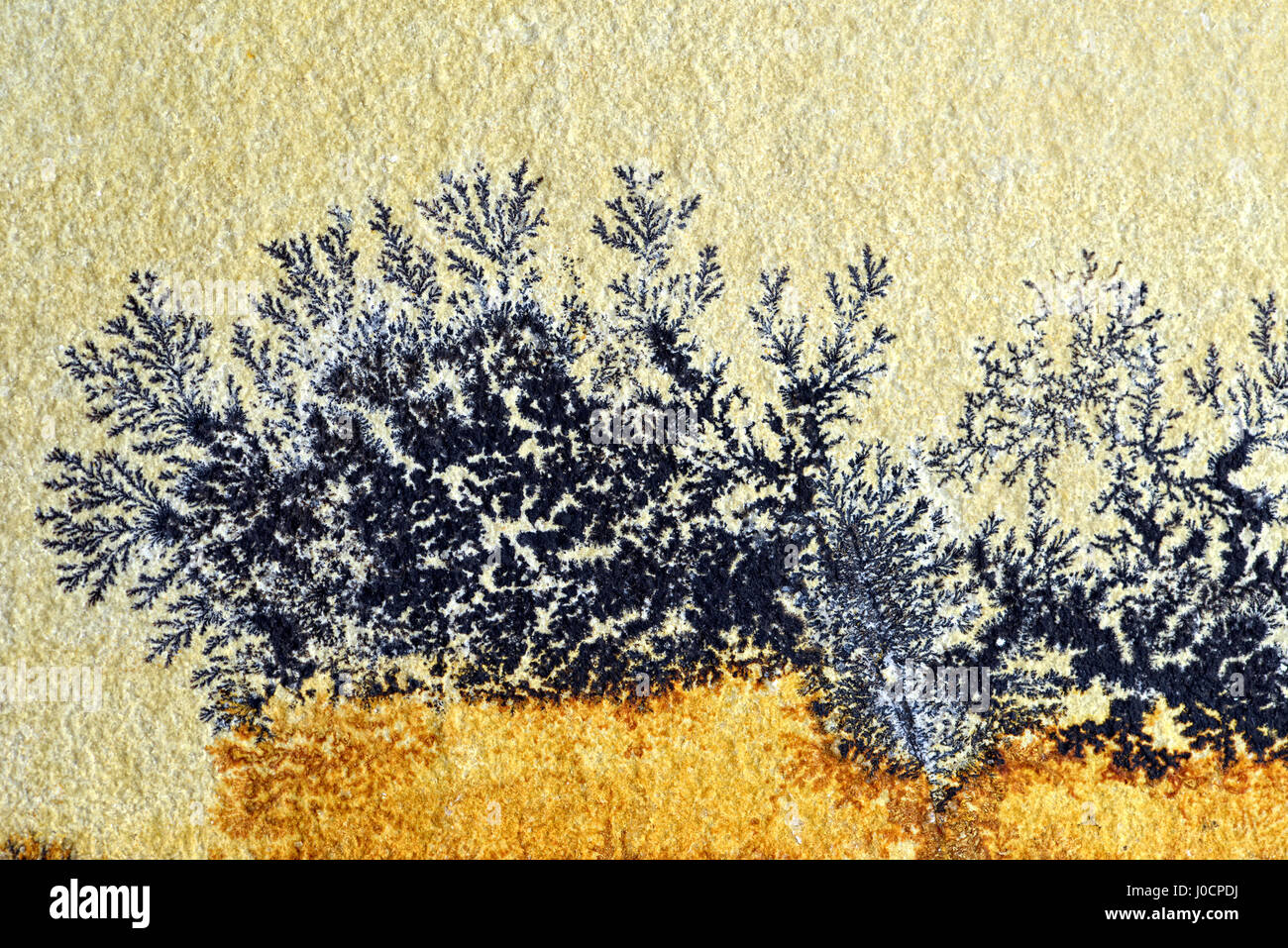 Dendrite sandstone hi-res stock photography and images - Alamy