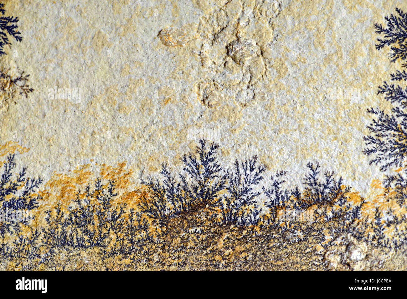 Dendrite fossil hi-res stock photography and images - Alamy