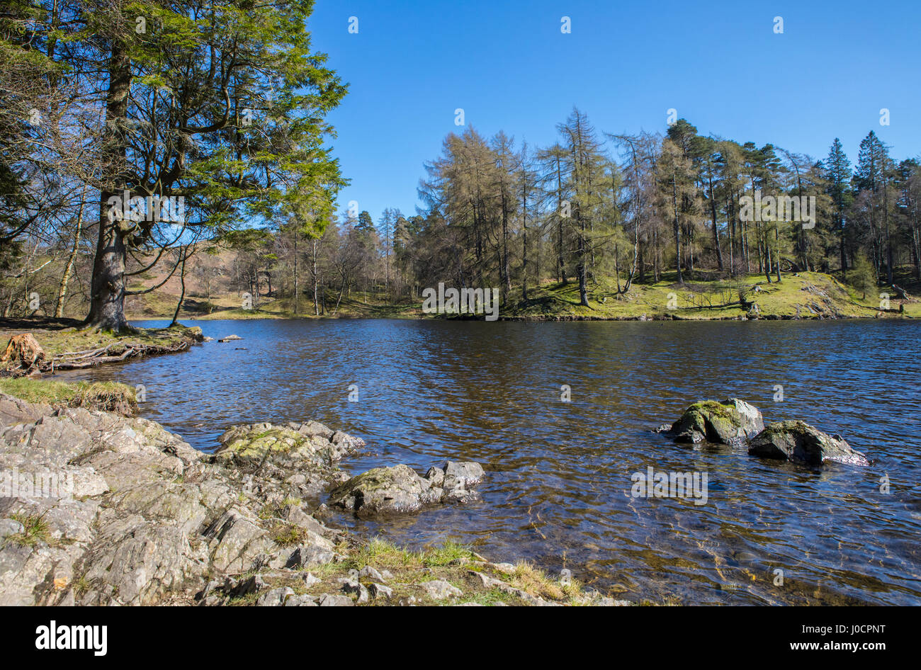 The picturesque scenery of Tarn Hows in the Lake District in Cumbria, UK. Stock Photo