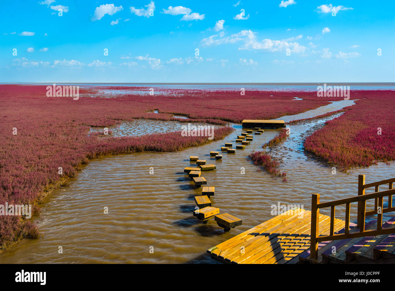 The Red Beach, located in the Liaohe Delta some 30km south west of Panjin, Liaoning, China. The beach is a marshy area of huge importance to birdlife Stock Photo