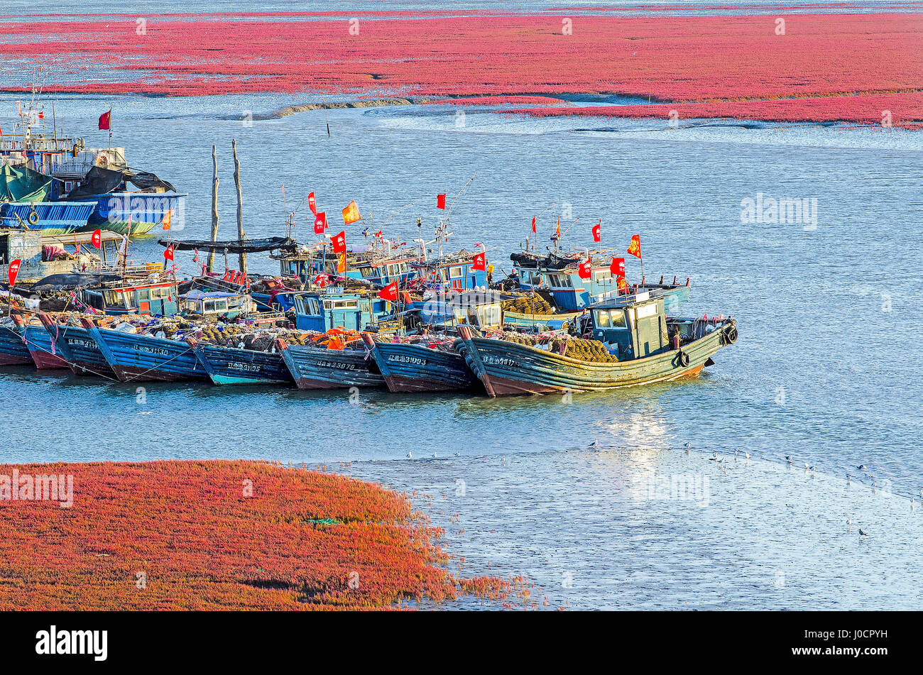 The fishing fleet at Erjiegou, near Panjin, China, and the so called Red Beach, an area of salt marsh where a plant known as suaeda grass thrives. Stock Photo