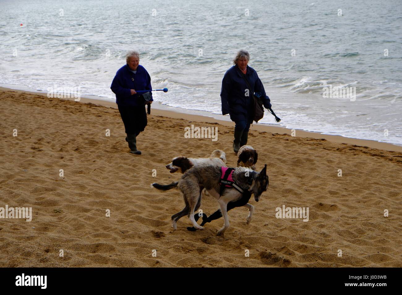 West Bay, Dorset, UK. 12th Apr, 2017. Early morning dog walkers wrap up warm and enjoy dramatic clouds over West Bay as the morning temperature drops on the Dorset coast. Credit: Tom Corban/Alamy Live News Stock Photo