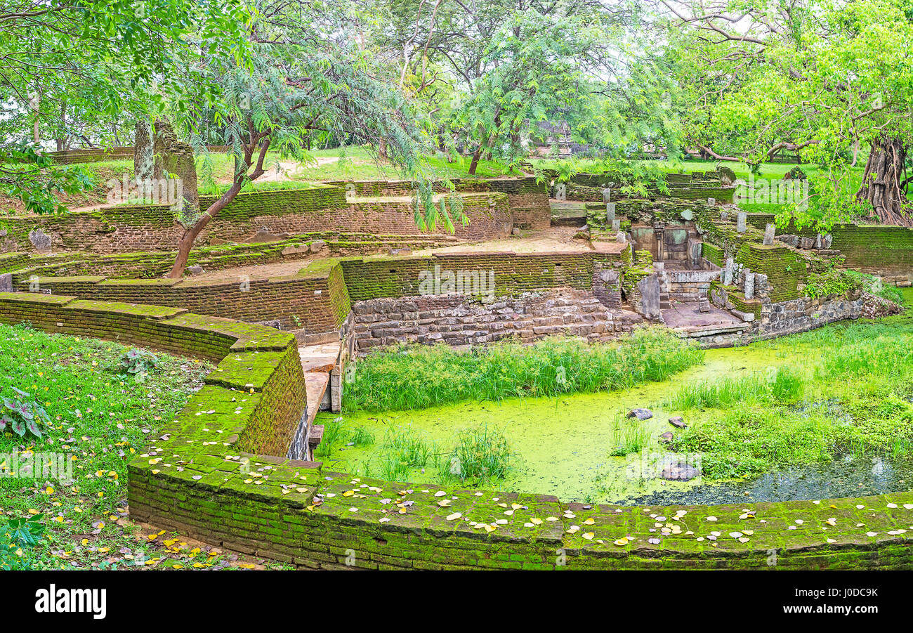 The lush greenery coveres the ancient objects of Polonnaruwa archaeological site, Sri Lanka. Stock Photo
