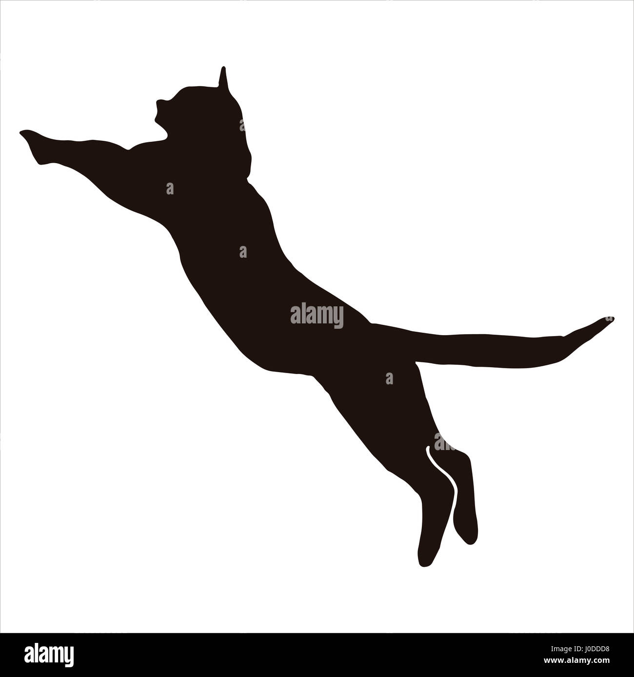 Silhouette of cat jumping in color black Stock Photo