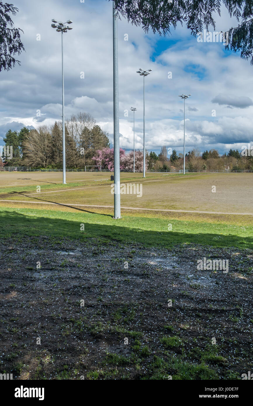 A view of a ball field and Cherry trees in Seatac, Washington Stock