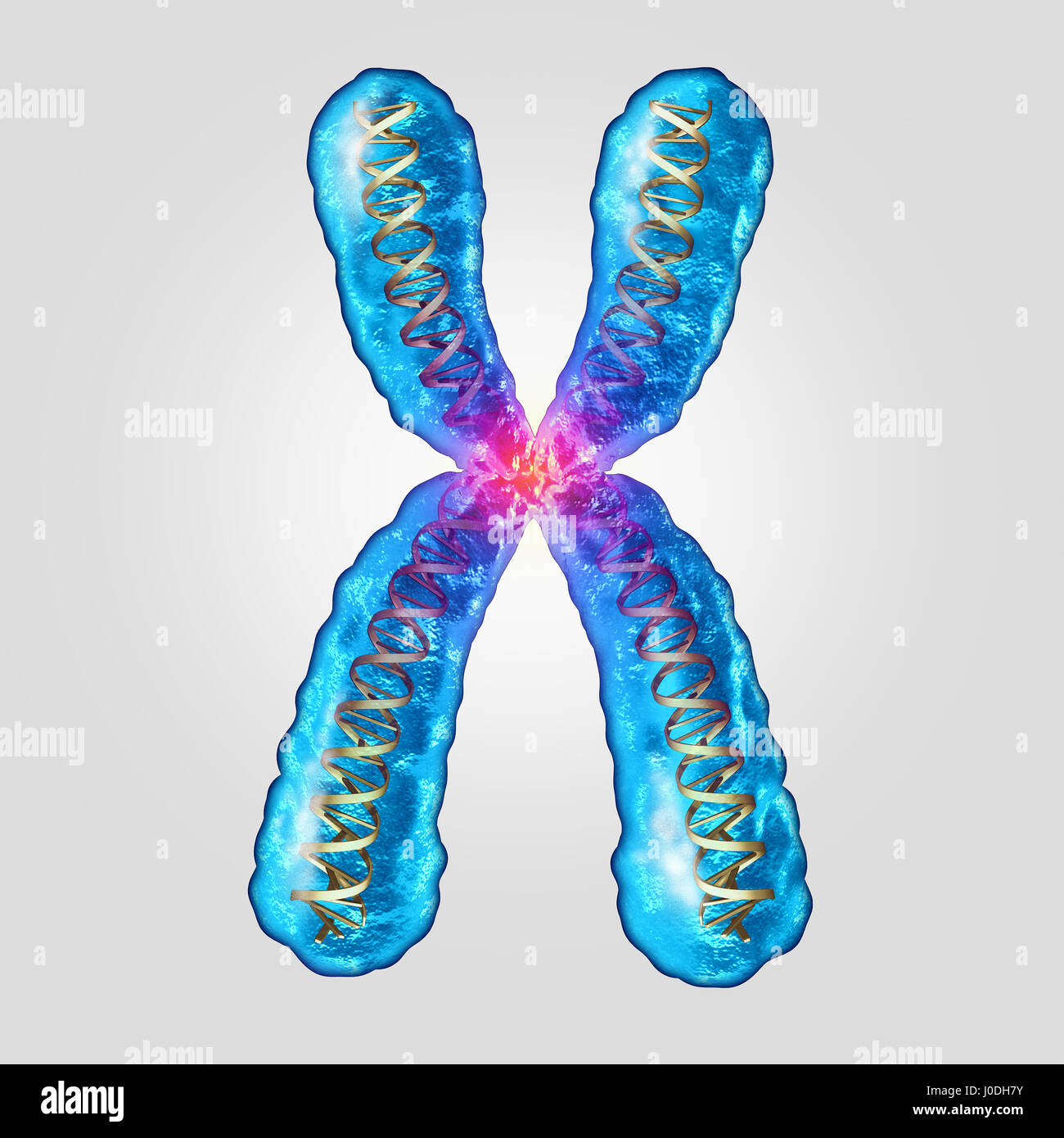 Chromosome genetic dna concept as a microscopic molecule with a double helix gene structure as a microbiology and medical symbol. Stock Photo