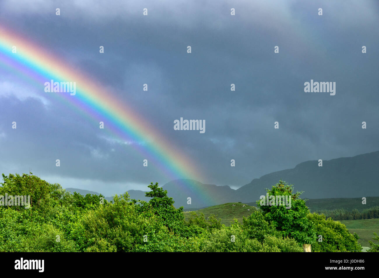 Rainbow shower tree hires stock photography and images Alamy