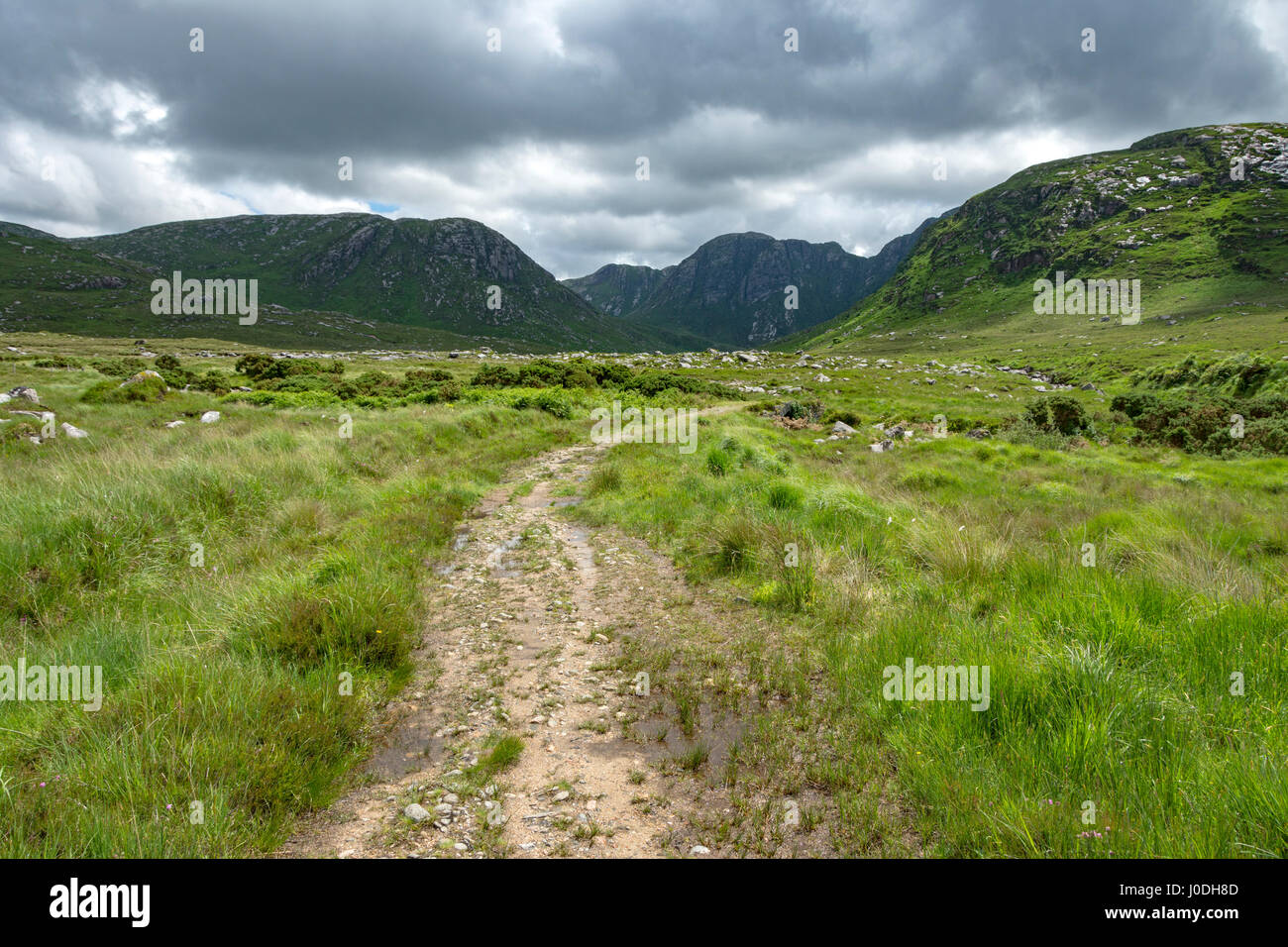Track leading into the Poisoned Glen with the peak of Crockfadda in the distance, Derryveagh Mountains, County Donegal, Ireland Stock Photo