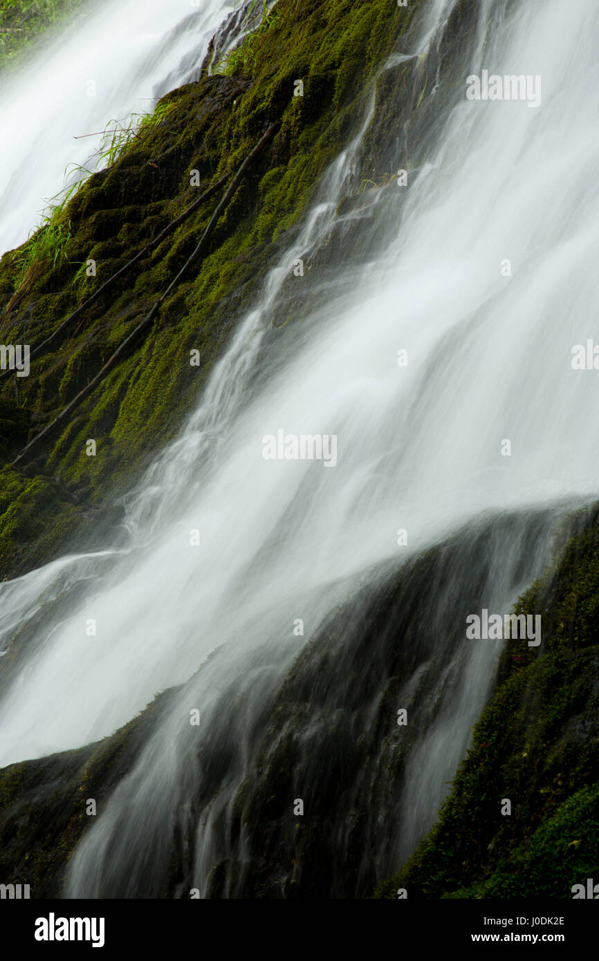 Green Peak Falls along Alsea Falls Trail, Alsea Falls Recreation Site