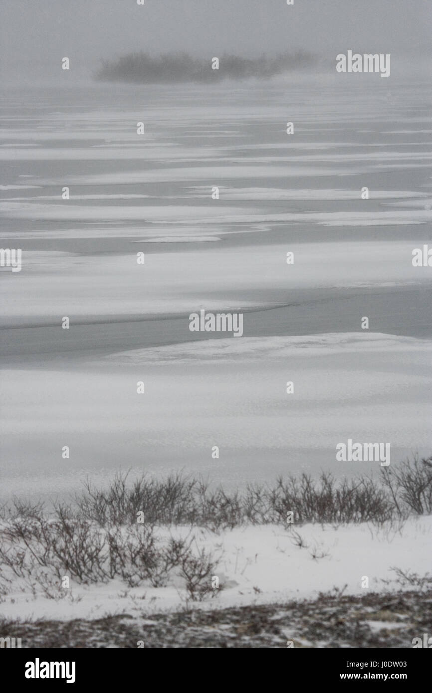 Canadian tundra. Churchill National Park, Canada. Arctic landscape. Stock Photo