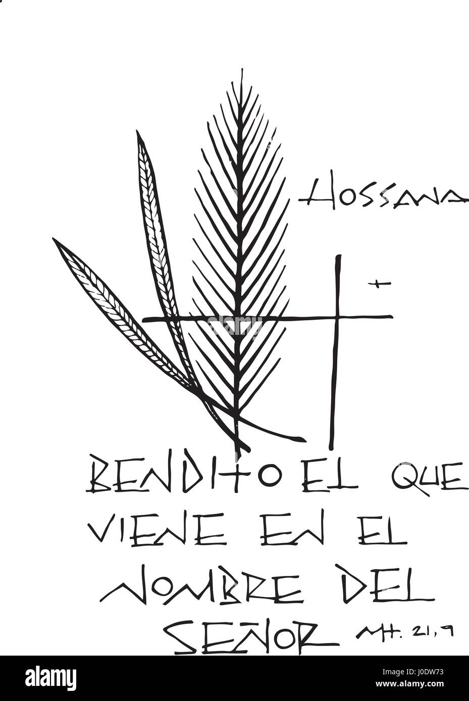 Hand drawn vector illustration or drawing of the phrase in spanish Bendito el que viene en el