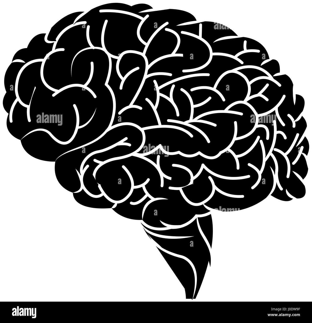 human brain icon image Stock Vector Image & Art - Alamy