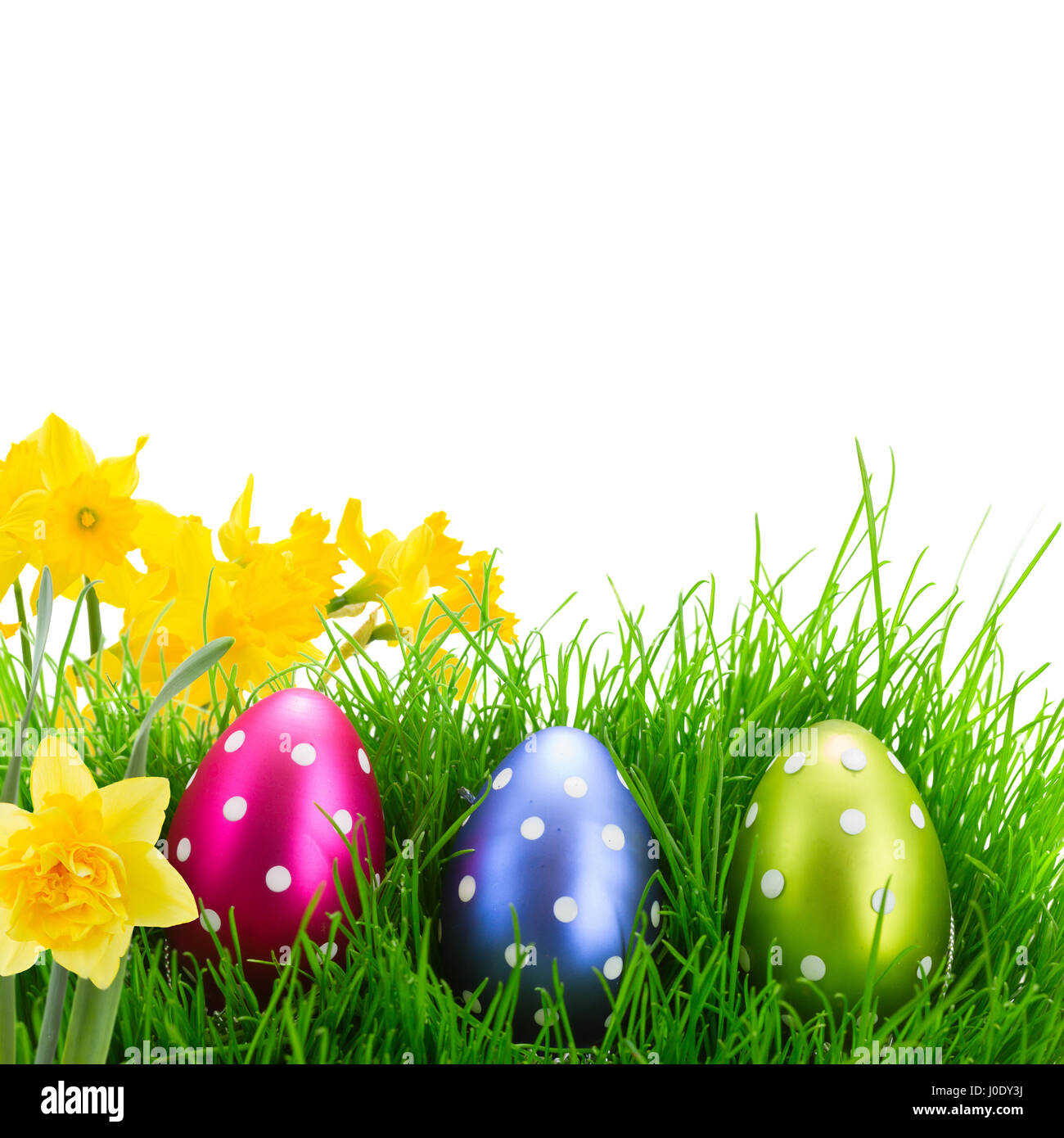 Easter eggs in grass with flowers isolated on white background Stock ...