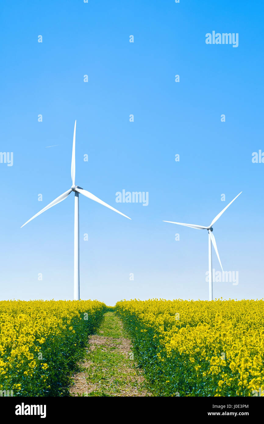 Wind farm Stock Photo
