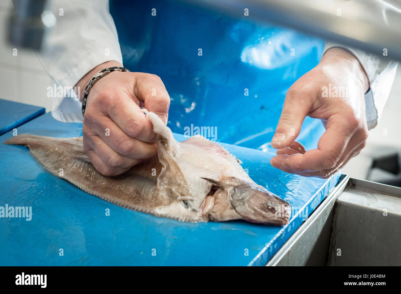 Witch flounder fillet hires stock photography and images Alamy