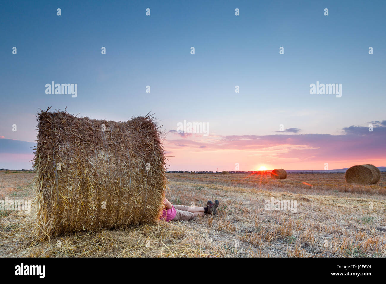 Field with bales of hay Stock Photo - Alamy