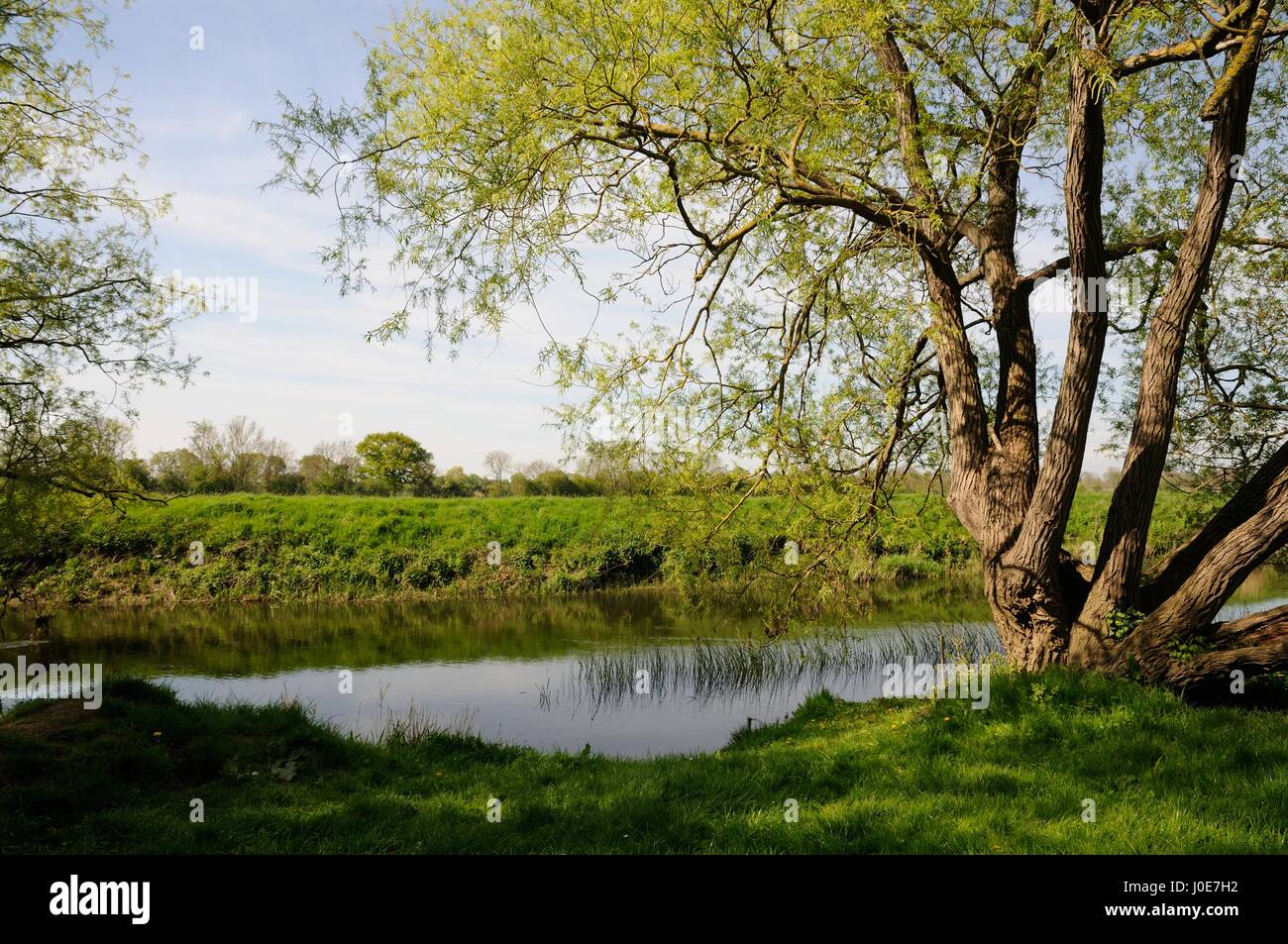 River Ouse at the end of River Lane, Milton Ernest, Bedfordshire Stock Photo