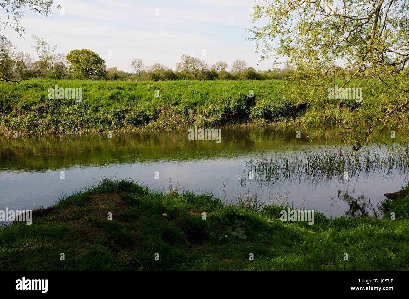 River Ouse at the end of River Lane, Milton Ernest, Bedfordshire Stock Photo