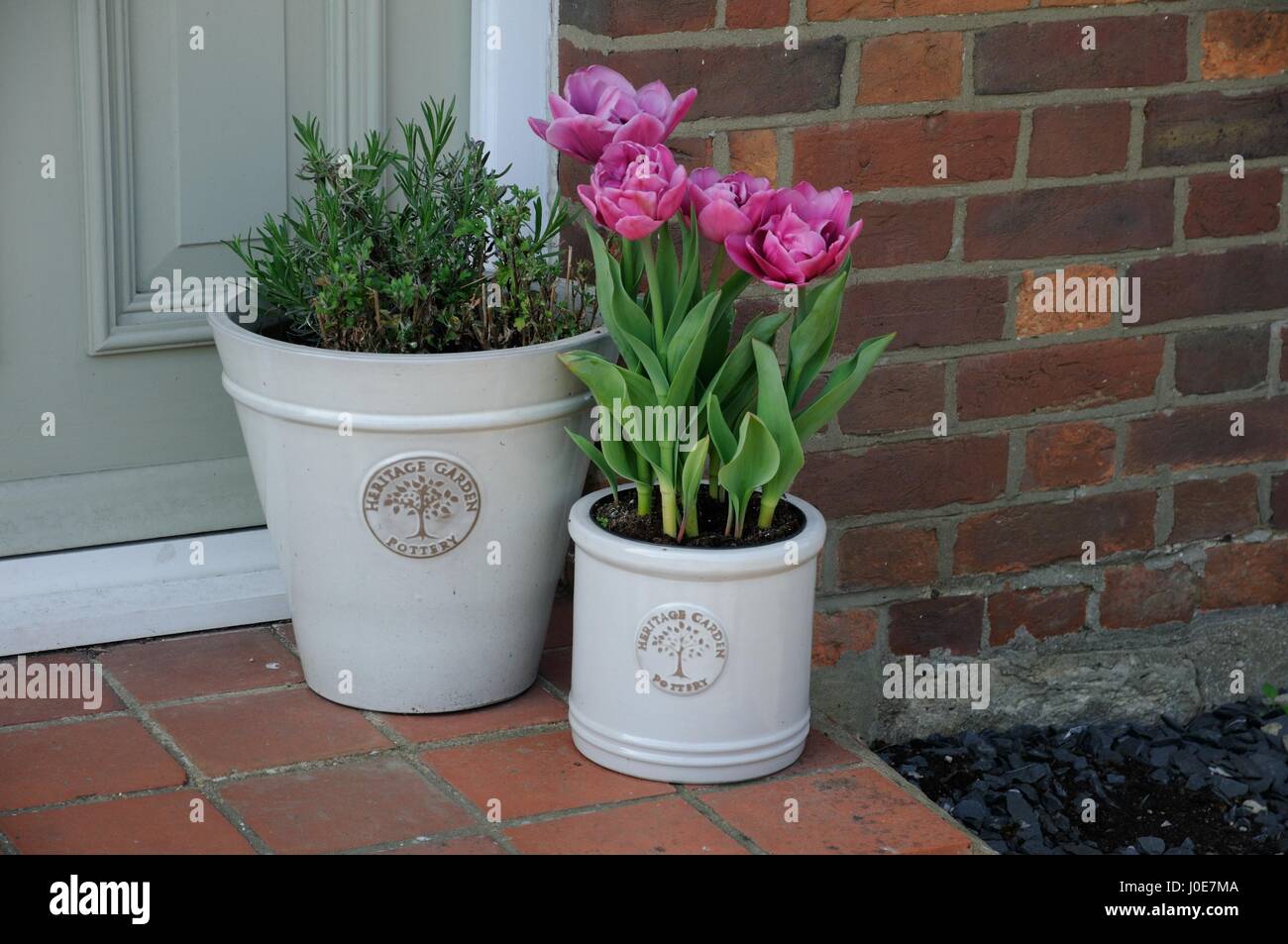 Yew Tree Cottage, Radwell Road, Milton Ernest, Bedfordshire Stock Photo